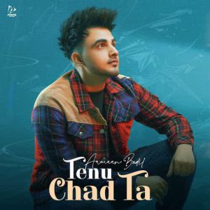 دانلود آهنگ هندی Armaan Bedil به نام Tenu Chad Ta + متن آهنگ