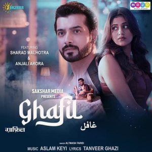 دانلود آهنگ هندی آلتاماش فریدی به نام Ghafil + متن آهنگ